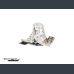 Skid plate with exhaust guard with plastic bottom for 2T KTM, Husqvarna, Gasgas 2024-2025.